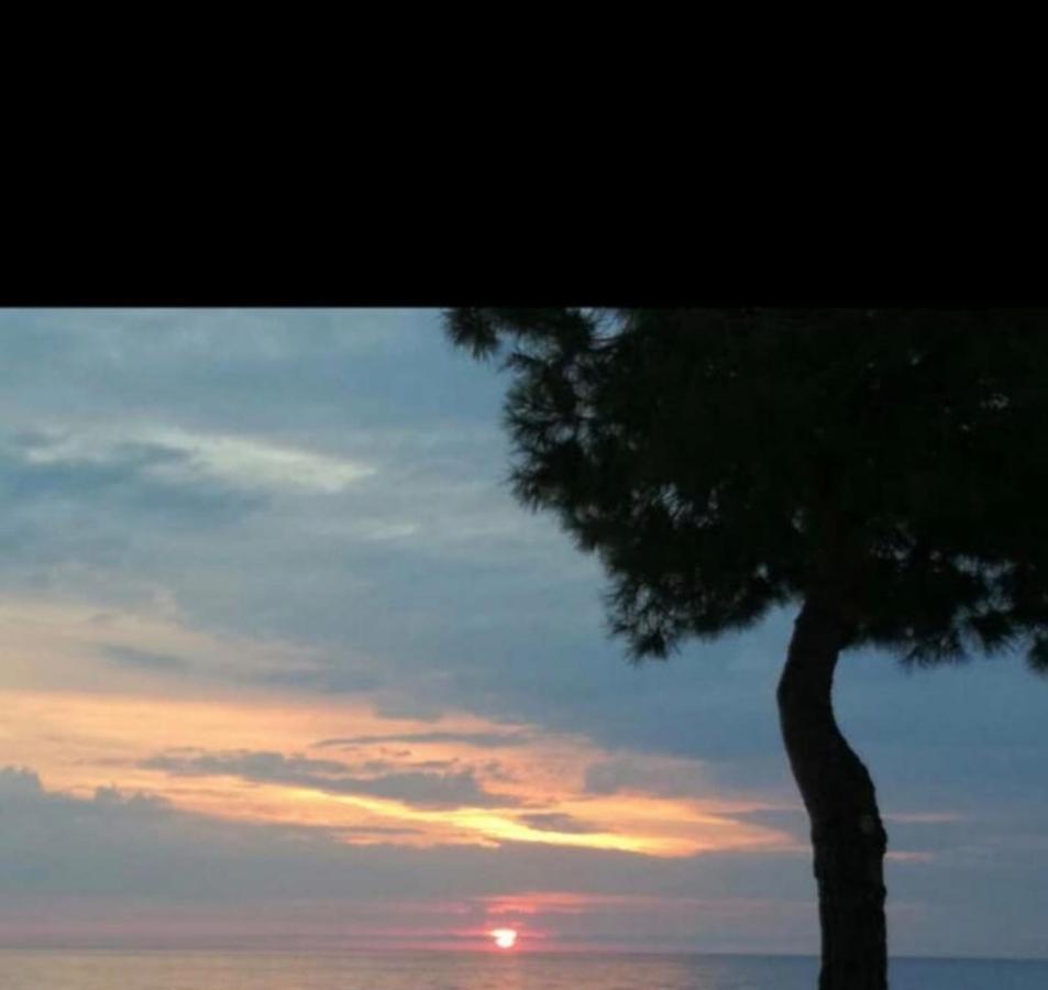 La casa al mare Corallo Verde Montegiordano Esterno foto