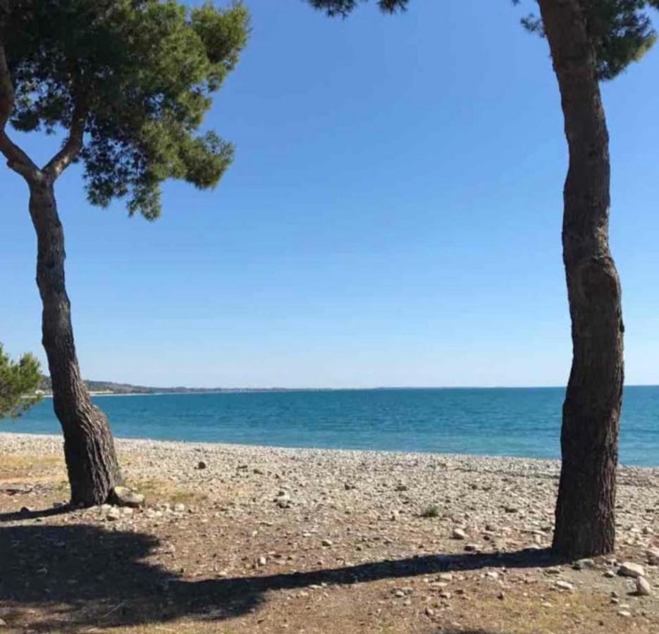 La casa al mare Corallo Verde Montegiordano Esterno foto